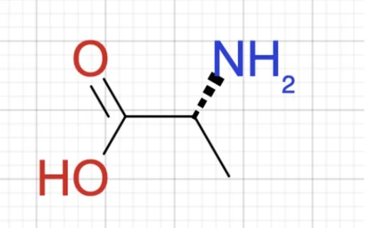 A hashed wedge bond at the stereocentre of alanine