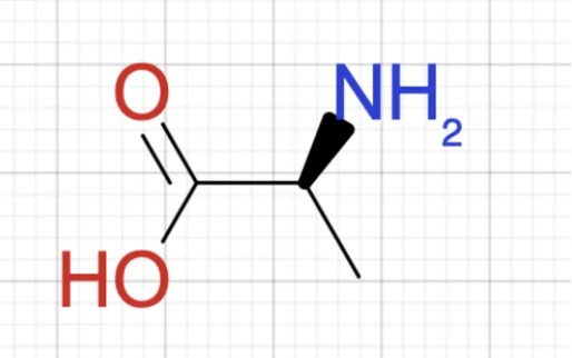 A solid wedge bond at the stereocentre of L-alanine